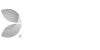 evolution-gaming-logO-1